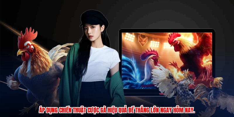 Áp dụng chiến thuật cược gà hiệu quả để thắng lớn ngay hôm nay.