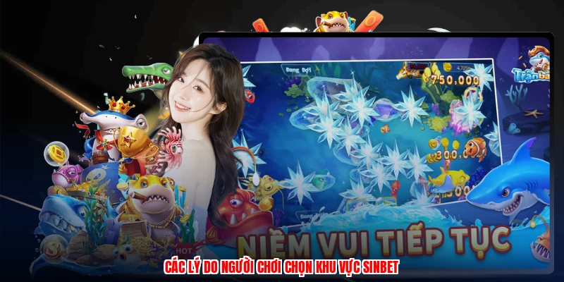 Các lý do người chơi chọn khu vực SINBET