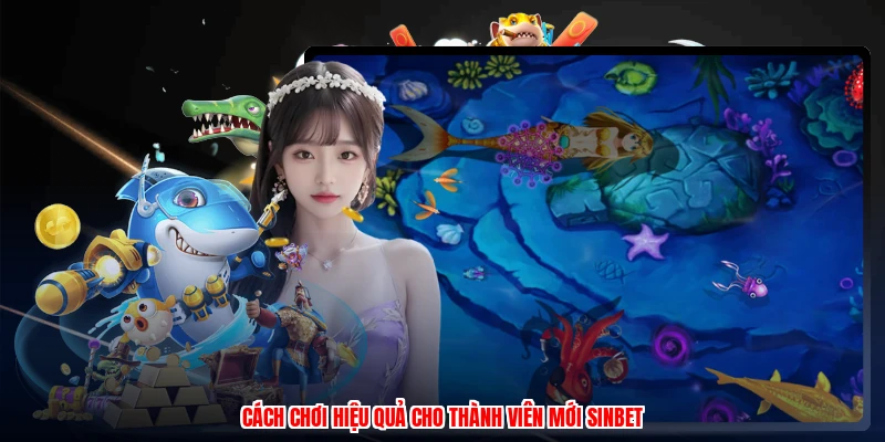 Cách chơi hiệu quả cho thành viên mới SINBET