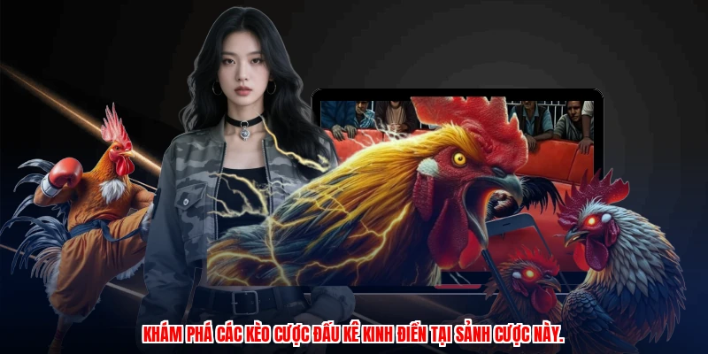 Khám phá các kèo cược đấu kê kinh điển tại sảnh cược này.