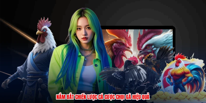 Nắm bắt chiến lược cá cược chọi gà hiệu quả