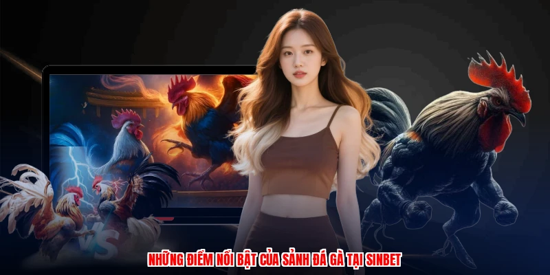 Những điểm nổi bật của sảnh đá gà tại sinbet