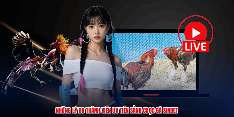 Những lý do thành viên ưu tiên sảnh cược gà SINBET