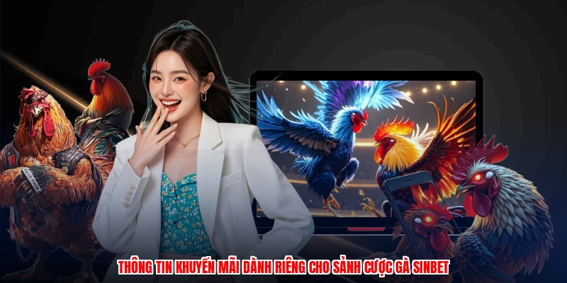 Thông tin khuyến mãi dành riêng cho sảnh cược gà SINBET