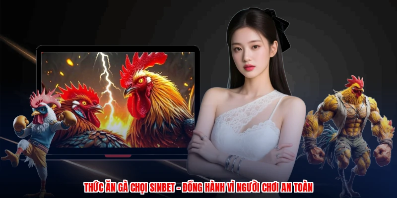 Thức Ăn Gà Chọi SINBET - Đồng Hành Vì Người Chơi An Toàn